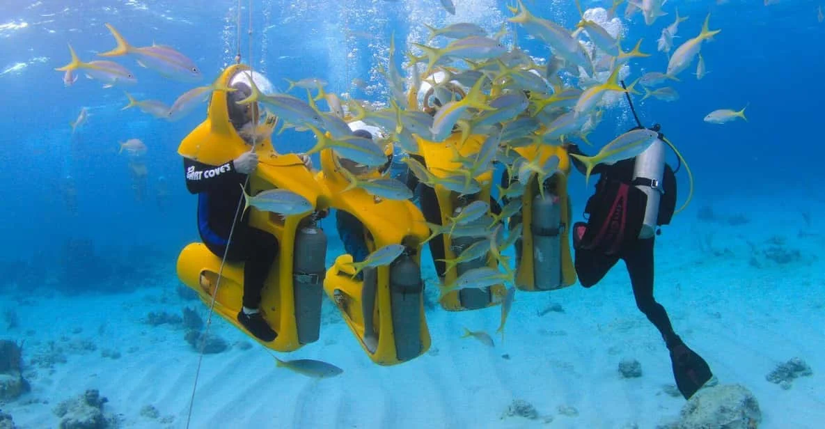 scuba doo